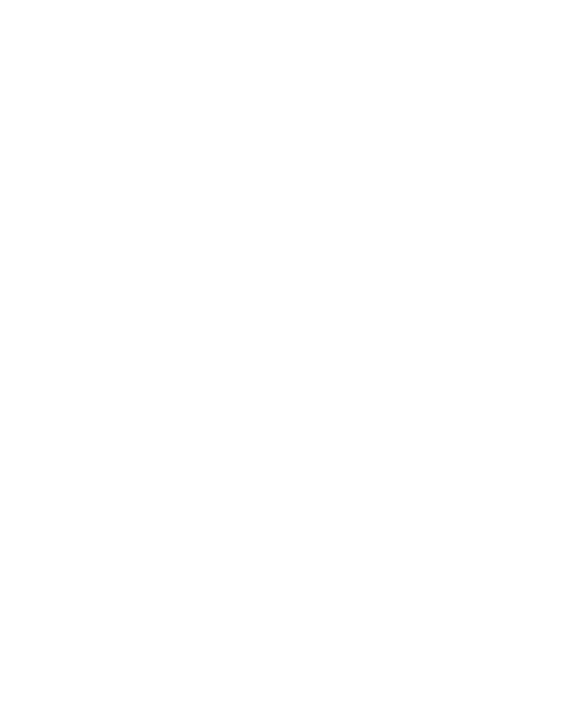bureau veritas logo